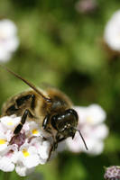 MG_3878.jpg