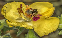 O6A3043.jpg