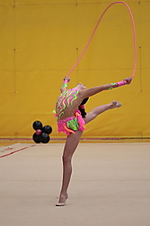 Gim2015-5122.JPG