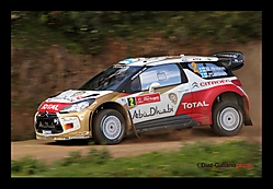 HIRVONEN_OURIQUE_2013.jpg