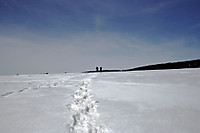 MG_8013.jpg