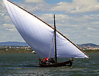 Regata_Vela_Latina_01.jpg