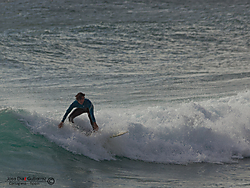 Surfero2.jpg