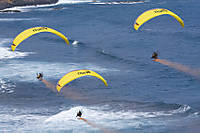 flypa_03_copia.jpg