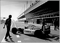 img312copia.jpg