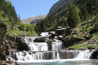 IMG_1266.jpg