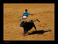 Andalucia_vuela_-_SRGB_chica.jpg