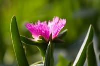 MG_9156.jpg