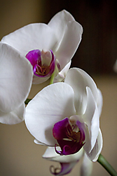 12_05_2013-4.jpg