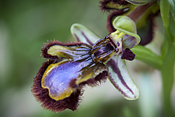 12_05_2013-9.jpg