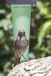 Desconocido-3.jpg