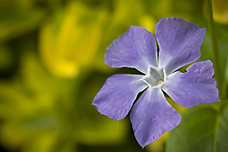 Macro_15_4_2013-33.jpg