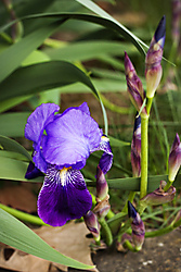 primavera_abril-1.jpg