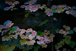 101020-Ordesa473-fondo-web.jpg