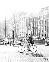 img2760large.jpeg